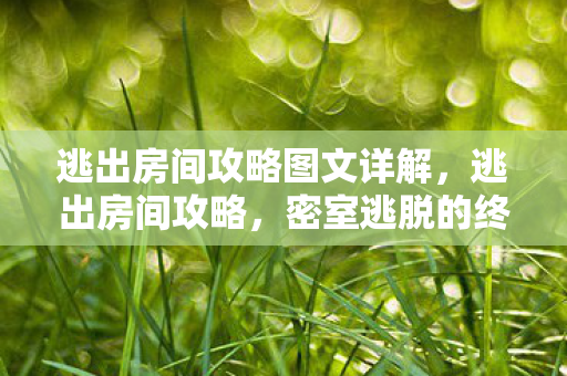 逃出房间攻略图文详解，逃出房间攻略，密室逃脱的终极指南