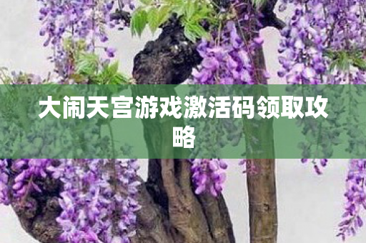 大闹天宫游戏激活码领取攻略