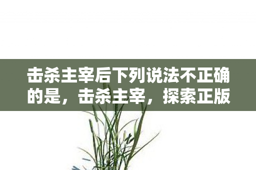 击杀主宰后下列说法不正确的是，击杀主宰，探索正版游戏的魅力与未来