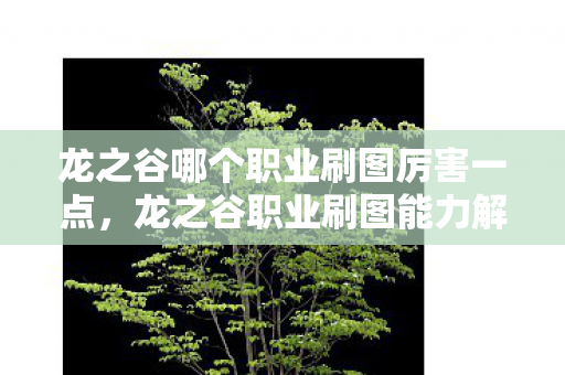 龙之谷哪个职业刷图厉害一点，龙之谷职业刷图能力解析