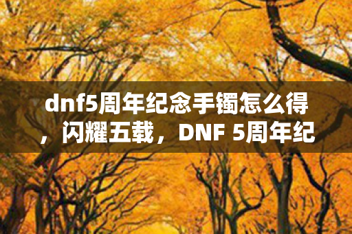 dnf5周年纪念手镯怎么得，闪耀五载，DNF 5周年纪念手镯的传奇故事