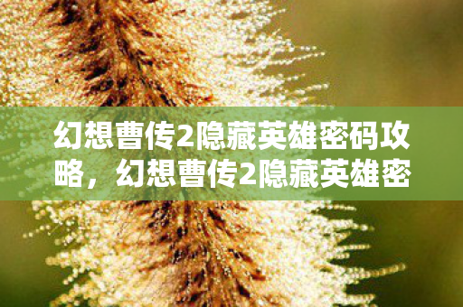 幻想曹传2隐藏英雄密码攻略，幻想曹传2隐藏英雄密码揭秘，解锁未知战力的神秘钥匙