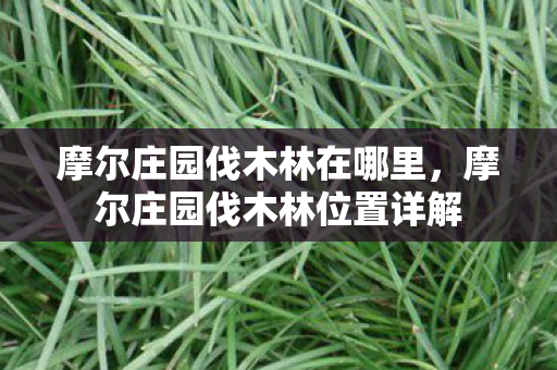 摩尔庄园伐木林在哪里，摩尔庄园伐木林位置详解