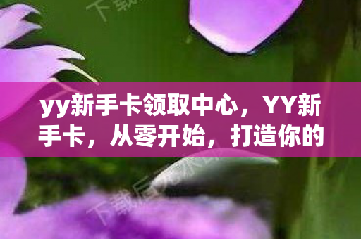 yy新手卡领取中心，YY新手卡，从零开始，打造你的个性化游戏之旅