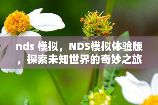 nds 模拟，NDS模拟体验版，探索未知世界的奇妙之旅
