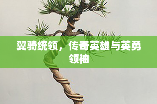 翼骑统领，传奇英雄与英勇领袖