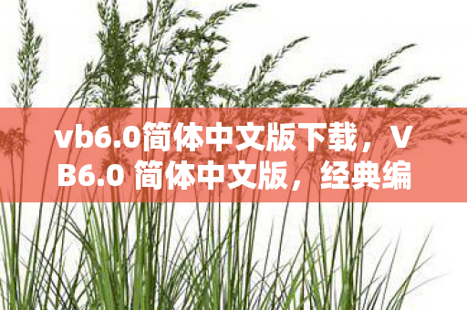 vb6.0简体中文版下载，VB6.0 简体中文版，经典编程语言的传承与革新