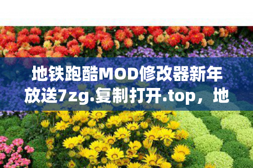 地铁跑酷MOD修改器新年放送7zg.复制打开.top，地铁跑酷MOD修改器，解锁无限可能的趣味跑酷新体验