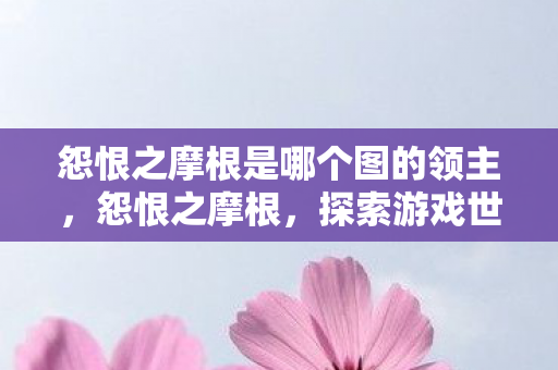 怨恨之摩根是哪个图的领主，怨恨之摩根，探索游戏世界中的不公与冲突