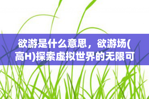 欲游是什么意思，欲游场(高H)探索虚拟世界的无限可能