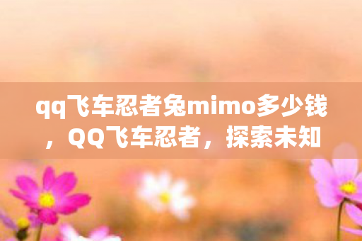qq飞车忍者兔mimo多少钱，QQ飞车忍者，探索未知的世界