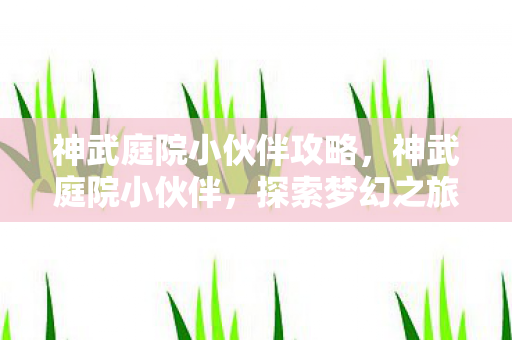 神武庭院小伙伴攻略，神武庭院小伙伴，探索梦幻之旅的无限可能