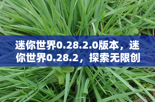 迷你世界0.28.2.0版本，迷你世界0.28.2，探索无限创意的奇妙之旅