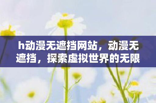 h动漫无遮挡网站，动漫无遮挡，探索虚拟世界的无限可能