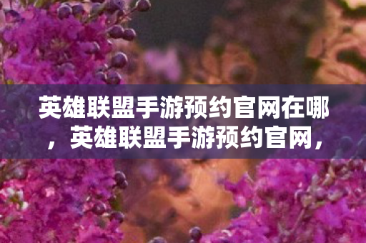 英雄联盟手游预约官网在哪，英雄联盟手游预约官网，开启你的指尖竞技之旅
