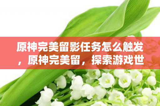 原神完美留影任务怎么触发，原神完美留，探索游戏世界的无限可能