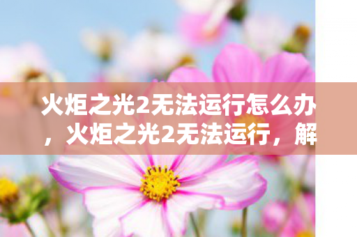 火炬之光2无法运行怎么办，火炬之光2无法运行，解决游戏启动问题的全面指南