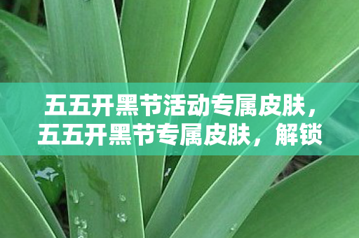 五五开黑节活动专属皮肤，五五开黑节专属皮肤，解锁游戏新风尚，共赴欢乐时光