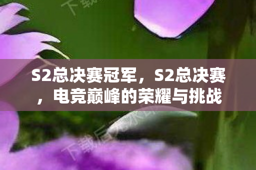 S2总决赛冠军，S2总决赛，电竞巅峰的荣耀与挑战