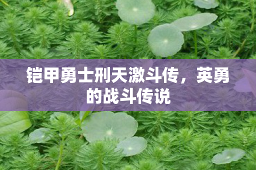铠甲勇士刑天激斗传,英勇的战斗传说 铠甲勇士刑天激斗传,英勇的战斗传说