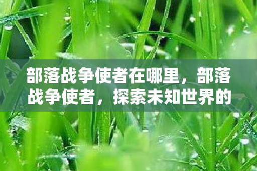 部落战争使者在哪里，部落战争使者，探索未知世界的冒险之旅