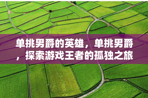 单挑男爵的英雄，单挑男爵，探索游戏王者的孤独之旅