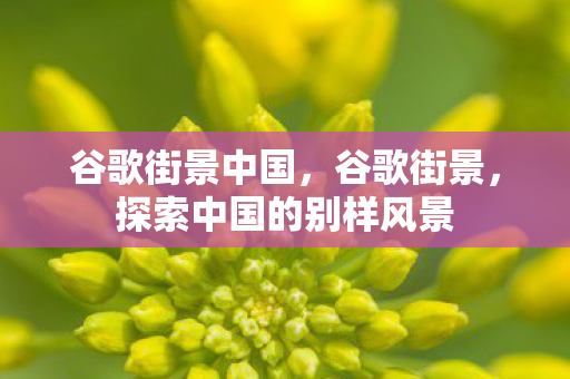 谷歌街景中国，谷歌街景，探索中国的别样风景