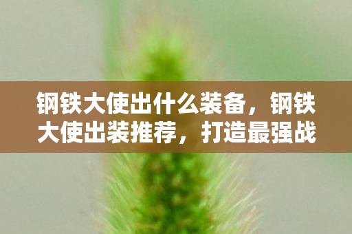 钢铁大使出什么装备，钢铁大使出装推荐，打造最强战斗力