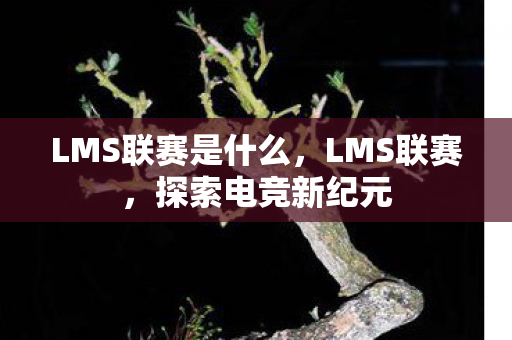 LMS联赛是什么，LMS联赛，探索电竞新纪元
