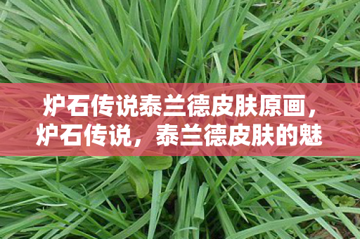 炉石传说泰兰德皮肤原画，炉石传说，泰兰德皮肤的魅力与探索