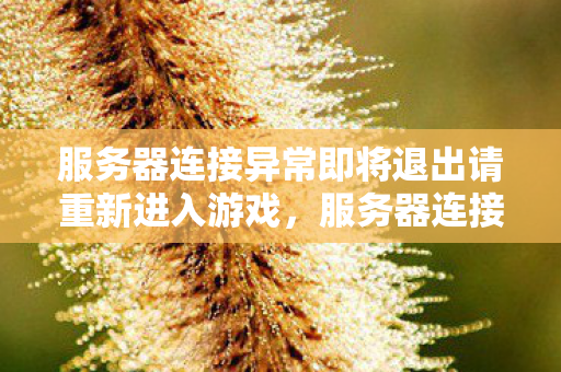 服务器连接异常即将退出请重新进入游戏，服务器连接异常，探索游戏运营的幕后挑战