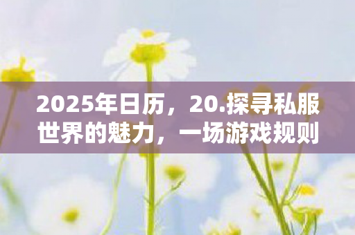 2025年日历，20.探寻私服世界的魅力，一场游戏规则的另类探索