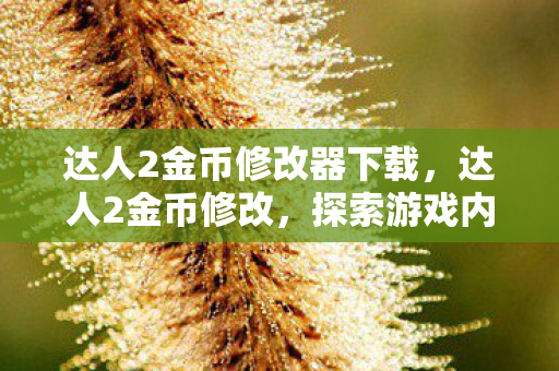 达人2金币修改器下载，达人2金币修改，探索游戏内购的无限可能