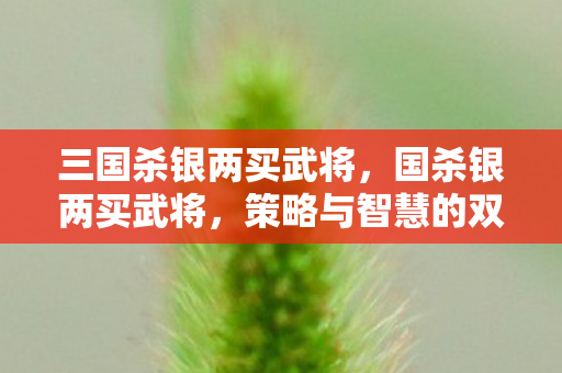 三国杀银两买武将，国杀银两买武将，策略与智慧的双重考量