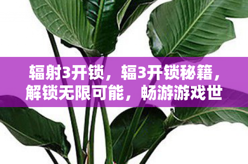 辐射3开锁，辐3开锁秘籍，解锁无限可能，畅游游戏世界