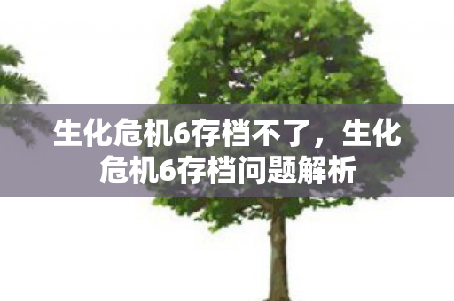 生化危机6存档不了，生化危机6存档问题解析