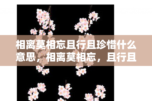 相离莫相忘且行且珍惜什么意思，相离莫相忘，且行且珍惜