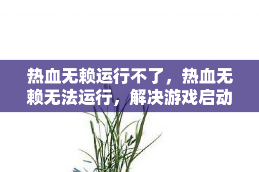 热血无赖运行不了，热血无赖无法运行，解决游戏启动问题的全面指南