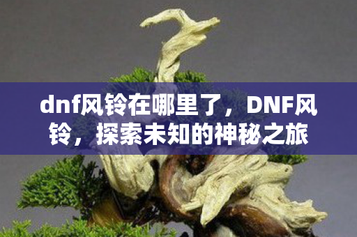 dnf风铃在哪里了，DNF风铃，探索未知的神秘之旅