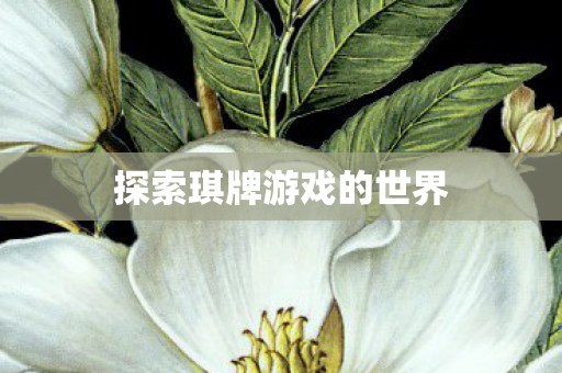 探索琪牌游戏的世界