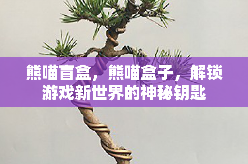 熊喵盲盒，熊喵盒子，解锁游戏新世界的神秘钥匙