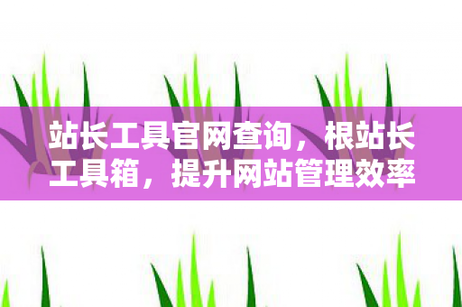 站长工具官网查询，根站长工具箱，提升网站管理效率的神兵利器