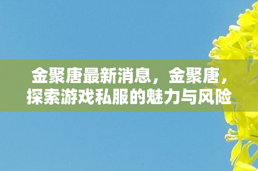 金聚唐最新消息，金聚唐，探索游戏私服的魅力与风险