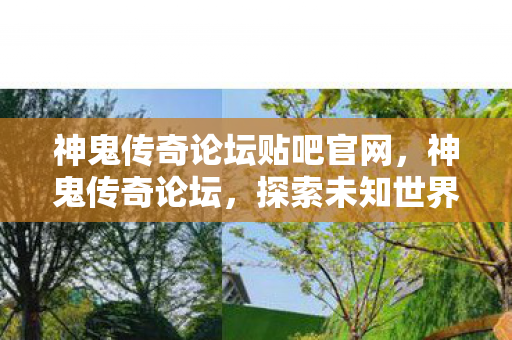 神鬼传奇论坛贴吧官网，神鬼传奇论坛，探索未知世界的奇幻之旅
