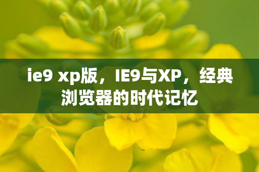 ie9 xp版，IE9与XP，经典浏览器的时代记忆