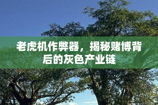 老虎机作弊器，揭秘赌博背后的灰色产业链