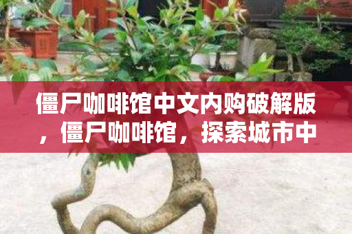 僵尸咖啡馆中文内购破解版，僵尸咖啡馆，探索城市中的神秘角落