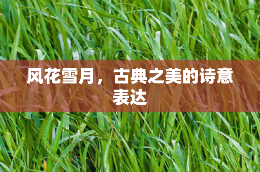 风花雪月，古典之美的诗意表达