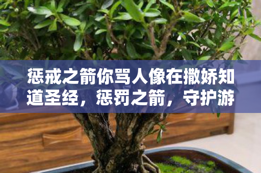 惩戒之箭你骂人像在撒娇知道圣经，惩罚之箭，守护游戏世界的正义与秩序