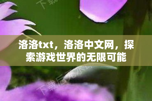 洛洛txt，洛洛中文网，探索游戏世界的无限可能